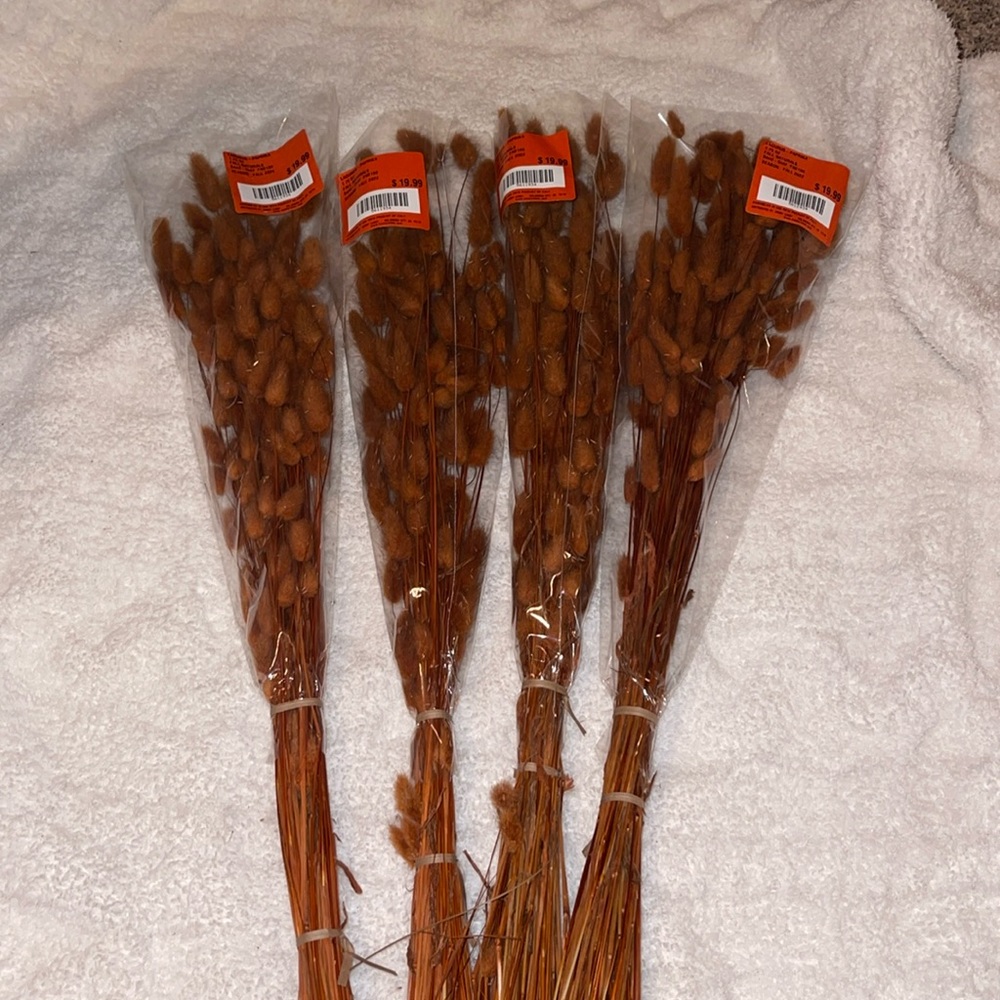 Nwt flowers paprika hobby lobby